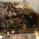 Image for article titled I Bought The Crappiest Jeep On Earth. Cleaning Its Interior Was Horrifying
